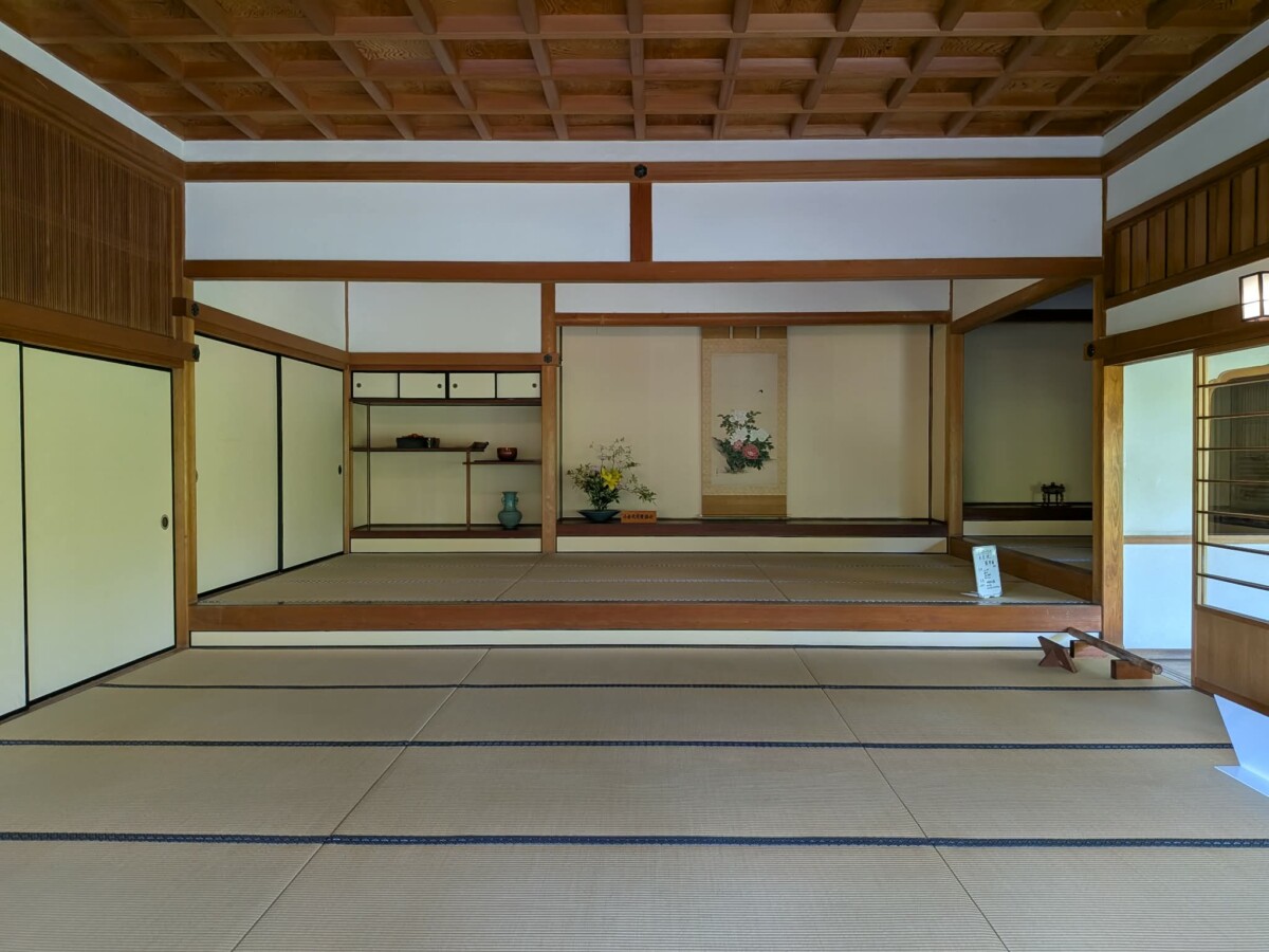 ninoma1